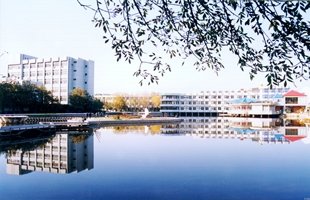 再进入全文